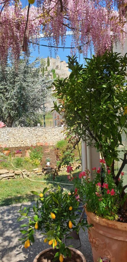 Pause Couleur Lavandula Roussas Εξωτερικό φωτογραφία