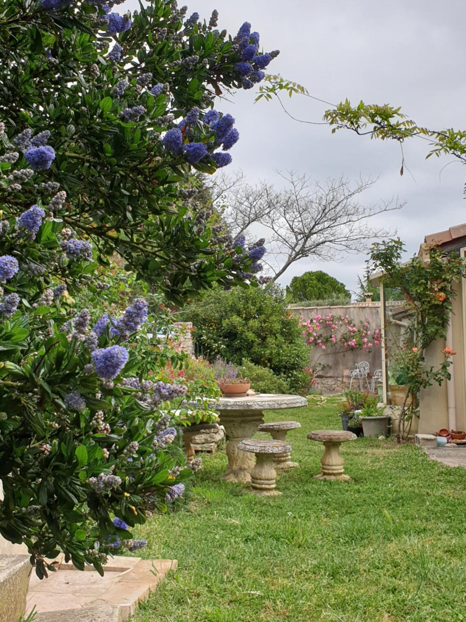 Pause Couleur Lavandula Roussas Εξωτερικό φωτογραφία